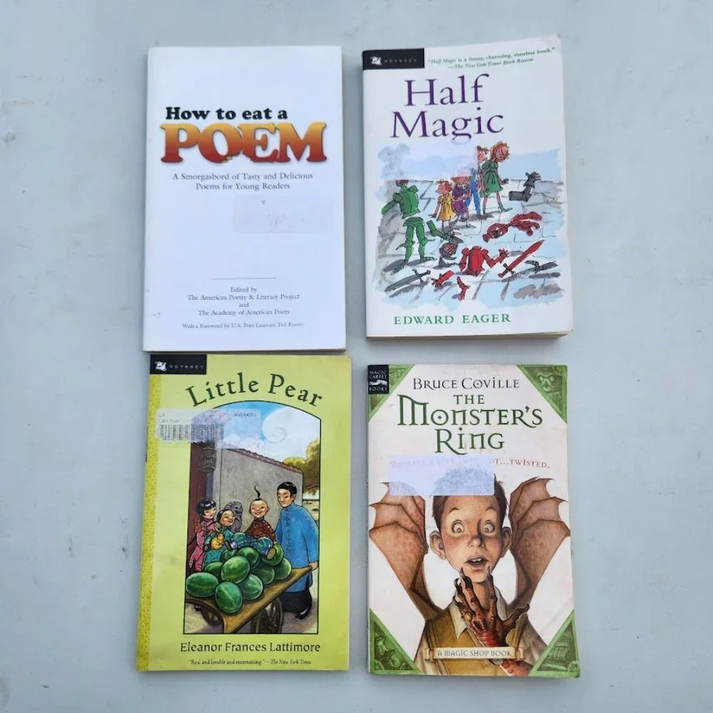 4 books book bundle Lot Set Chapter Books Young Adult Poem Literature Novels